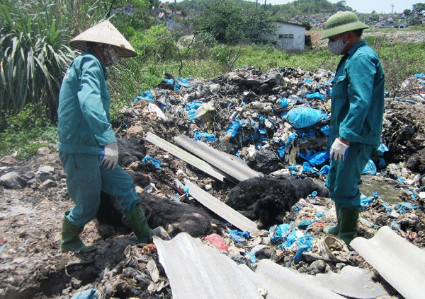 Báo[-]động[-][-]thực[-]trạng[-]gấu[-]nuôi[-]nhốt[-]bị[-]chết[-]ở[-]Hạ[-]Long